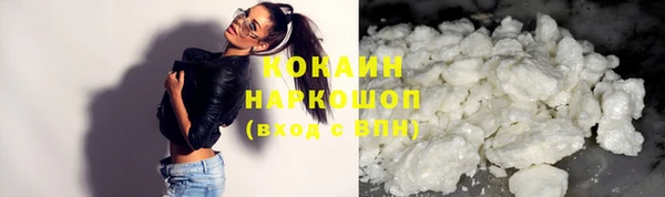 сатива Каменск-Шахтинский