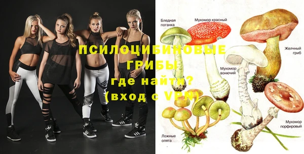 синтетический гашиш Каменногорск